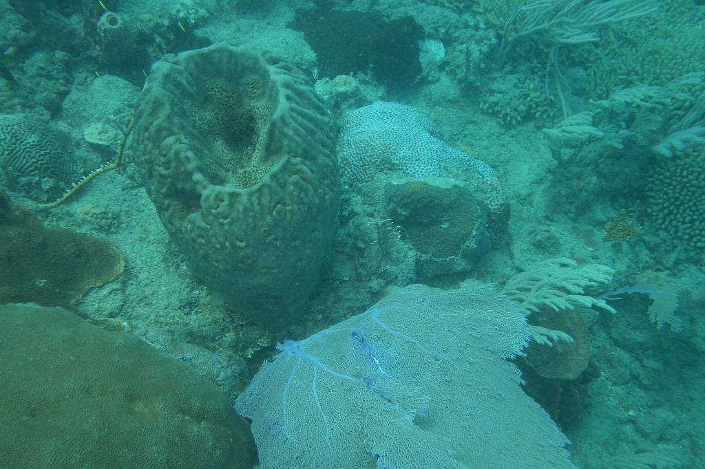2008-05-17 17-15-26 H.JPG